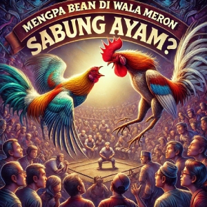 Mengapa Bermain di Wala Meron Sabung Ayam?